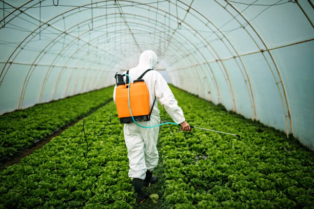 Best Pest Prevention Services  in Dale, IN
