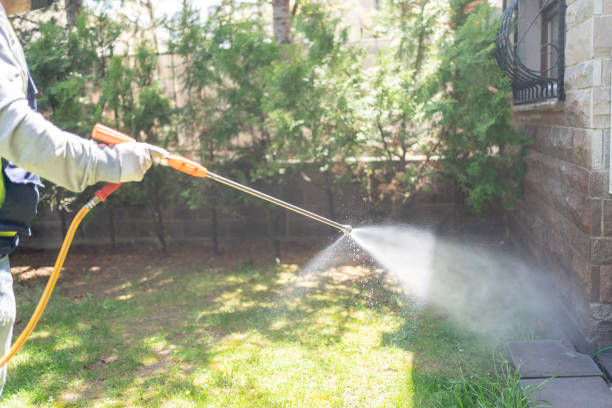 Best Ant Control Services  in Dale, IN