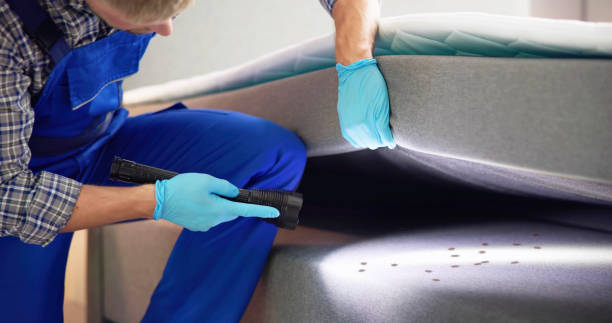 Best Pest Control Near Me  in Dale, IN