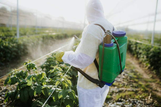 Pest Control Cost in Dale, IN